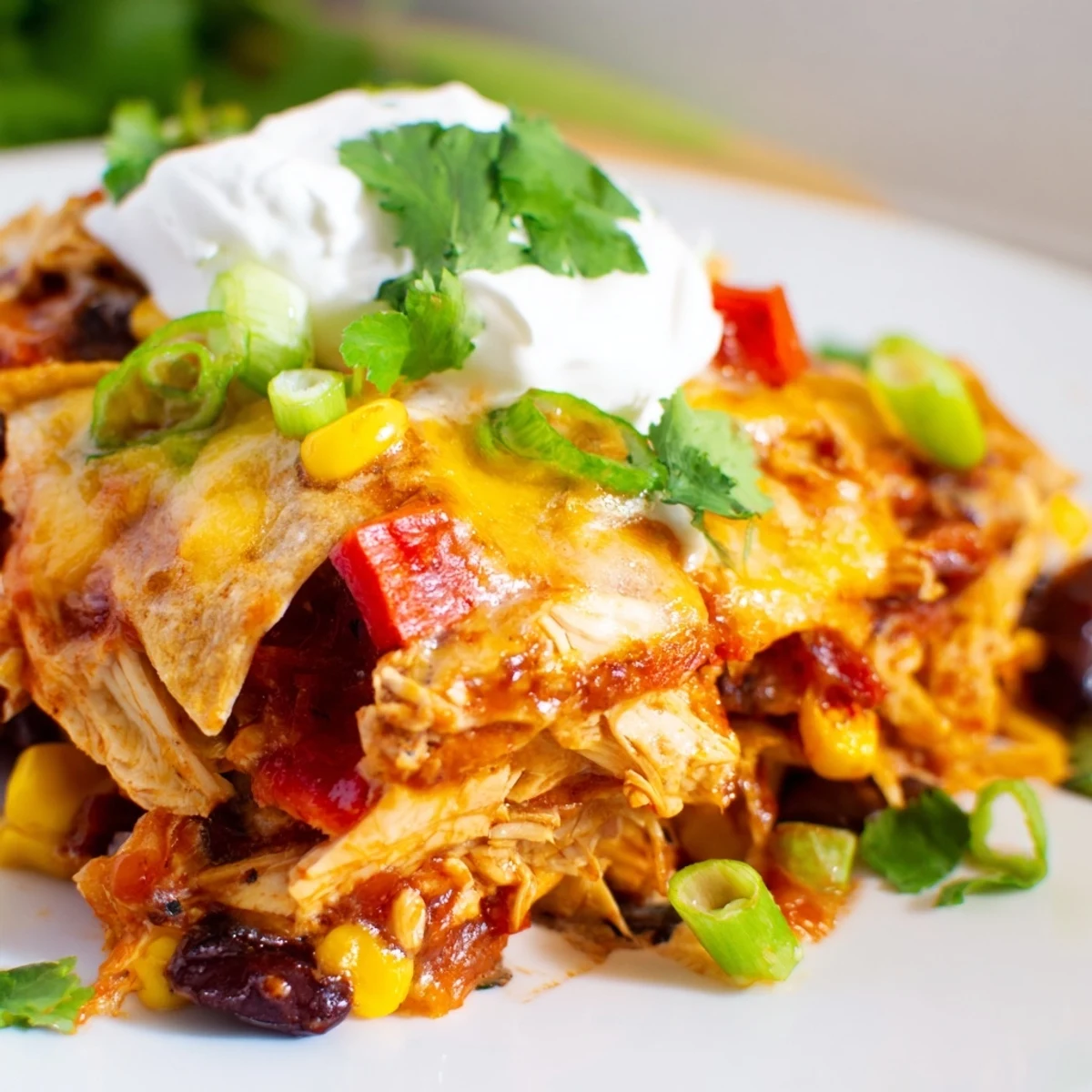 Golden cheesy Chicken Enchilada Casserole served with sour cream and green onions for comforting Tex-Mex dinner