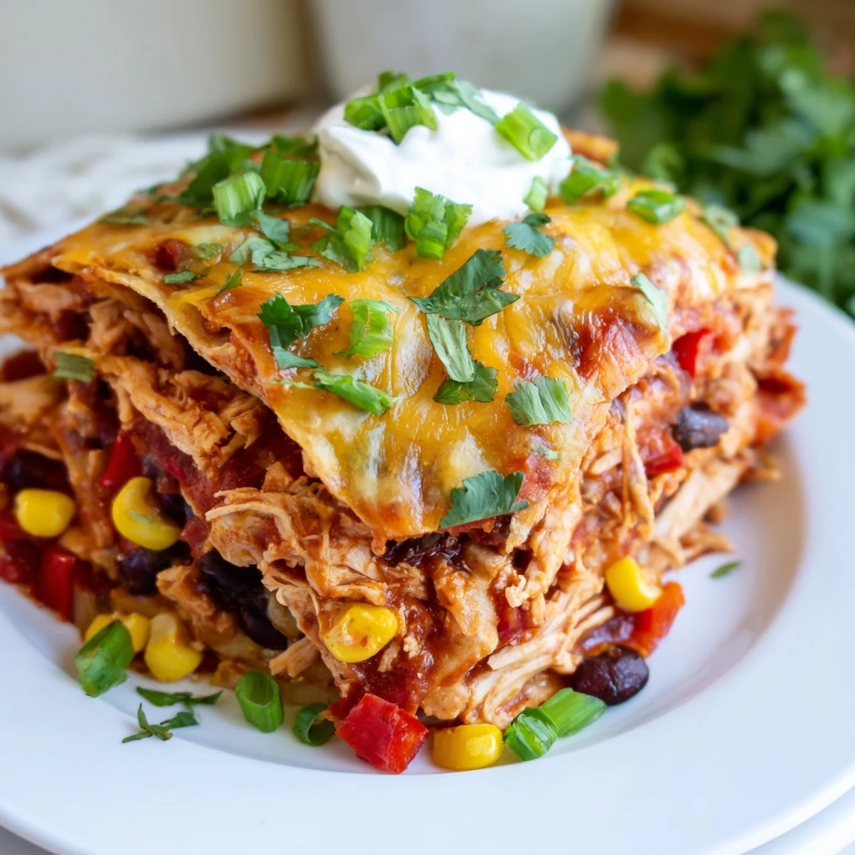 Hearty slow cooker Chicken Enchilada Casserole topped with shredded Mexican cheese and fresh cilantro garnish